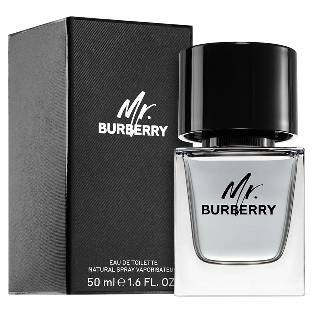 Burberry - Mr. Burberry toaletná voda pre mužov